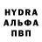 Amphetamine Premium Antonina Brodt