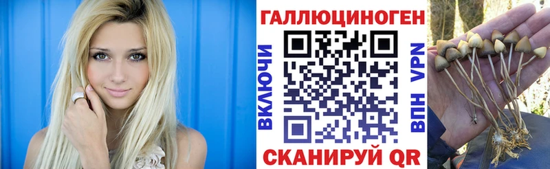цена   Козловка  Псилоцибиновые грибы мицелий 