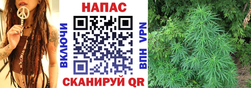 наркота  Козловка  mega   Каннабис VHQ 